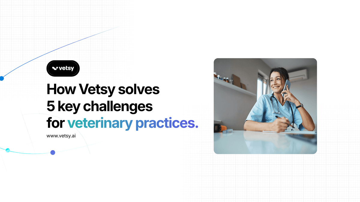 5 Key Challenges for Veterinary Practices and How Vetsy Can Help