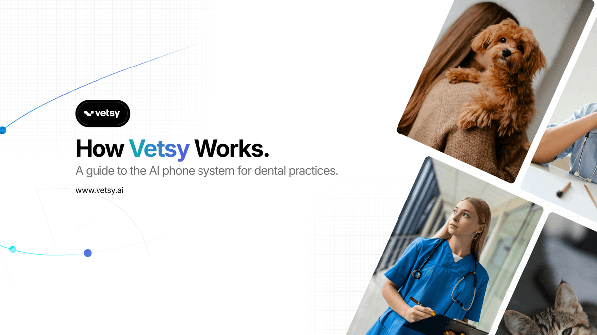 How Vetsy Works. A Step-by-step View of the AI Phone System for Veterinary Practices